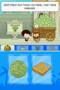 Poptropica Adventures cabbage