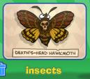 What do you collect insects answer
