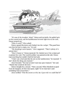 Astro-Knights Island 0049.jpg (76 KB)