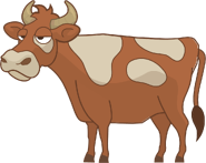 Cow