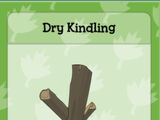 Dry Kindling