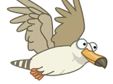 Seagull
