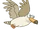 Seagull