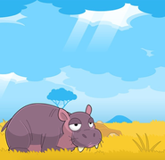 Hippo