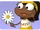 Daisy