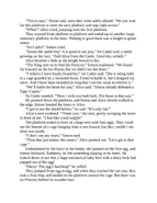 Astro-Knights Island 0077.jpg (106 KB)