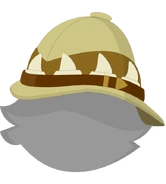 hat and hair