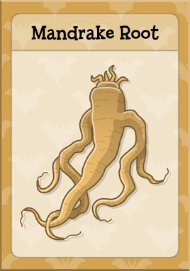 Mandrake Root