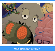 they come out at night