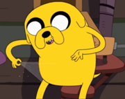 Spodnie Jake'a