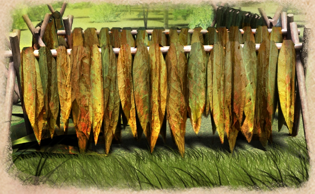 port royal tobacco wiki Tobacco | Port Royale 4 Wiki