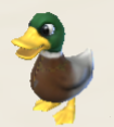 Duck Icon