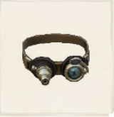 Goggles