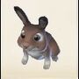 BrownBunny .jpg