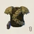 Hound Jacket Icon
