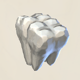 Ancient Teeth Icon