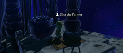 Nina shop.png