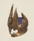 Rift Mage Spired Helm Icon