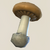 Alabaster Mushroom Seed Icon