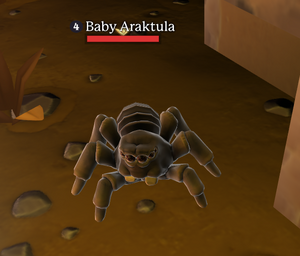 Baby Araktula