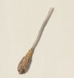 Broom Pet Icon