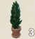 Potted Bush 2 Icon