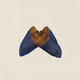 Light Evocatus Gloves Icon.png