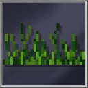 Tall Grass