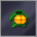 Turtle Suit