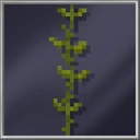 Seaweed
