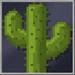 Cactus Block
