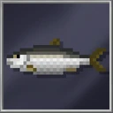 Herring (Huge)
