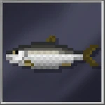 Herring (Huge)