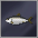 Herring (Large)
