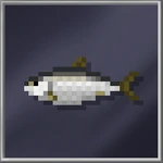 Herring (Large)