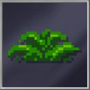 Jungle Plant