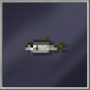Herring (Small)