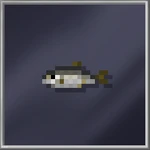 Herring (Small)