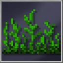 Jungle Grass