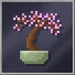 Cherry Bonsai