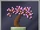 Cherry Bonsai