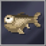 Dumb Fish (Huge)