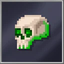 Enchanted Skull