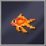 Goldfish (Medium)