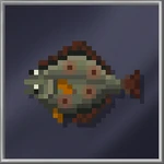 Halibut (Large)