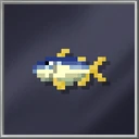 Kingfish (Medium)