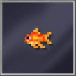 Goldfish (Tiny)