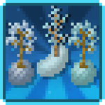 Winter Seeds Pack