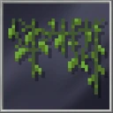 Hanging Leaves
