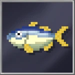 Kingfish (Huge)